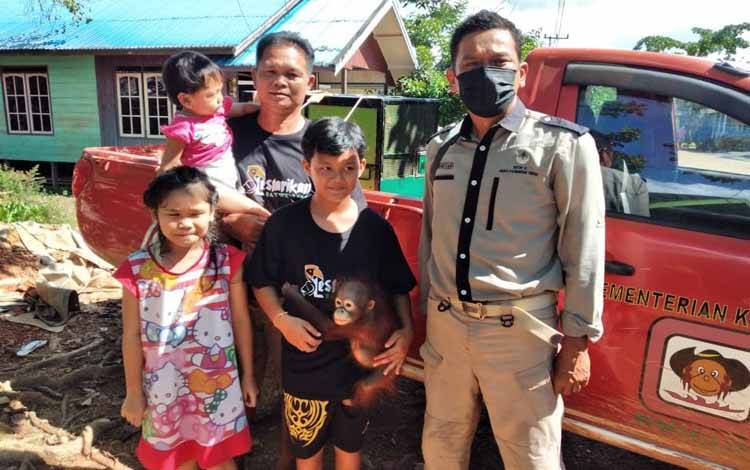 Warga Mentaya Hulu Temukan Anak Orangutan Terluka di Jalan