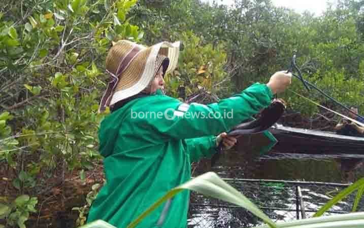 Danau Sari Simpan Potensi Ikan Air Tawar Melimpah