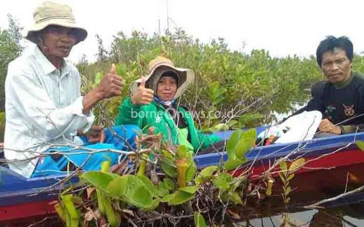 Danau Sari Tempat Hidup dan Berkembangnya Ikan Arwana