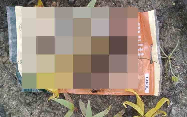Warga Pelangsian Kembali Temukan Tulang Diduga Manusia di Tumpukan Pasir Yang Sama