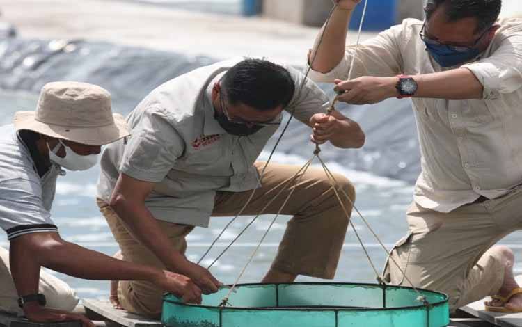 Asisten Perekonomian Pembangunan Kalteng Sebut Gubernur Komitmen Kuat Kembangkan Shrimp Estate