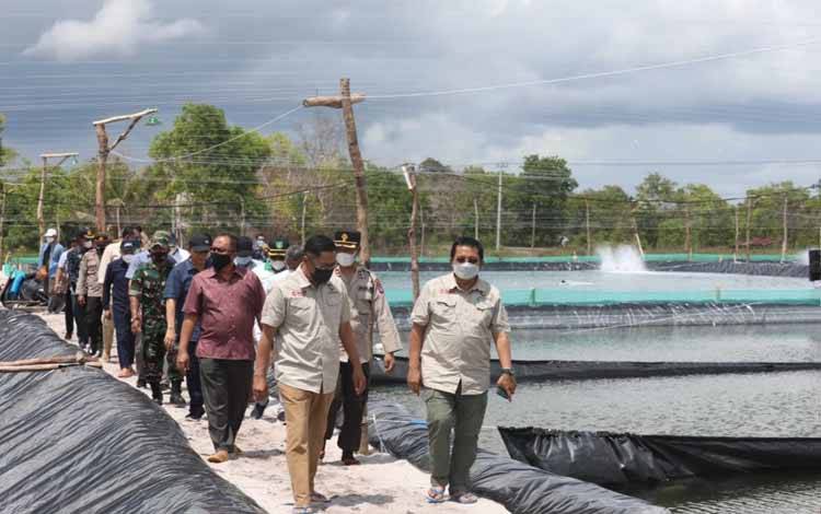 Peninjauan kawasan tambak udang vaname shrimp estate di Kabupaten Sukamara akhir pekan ini