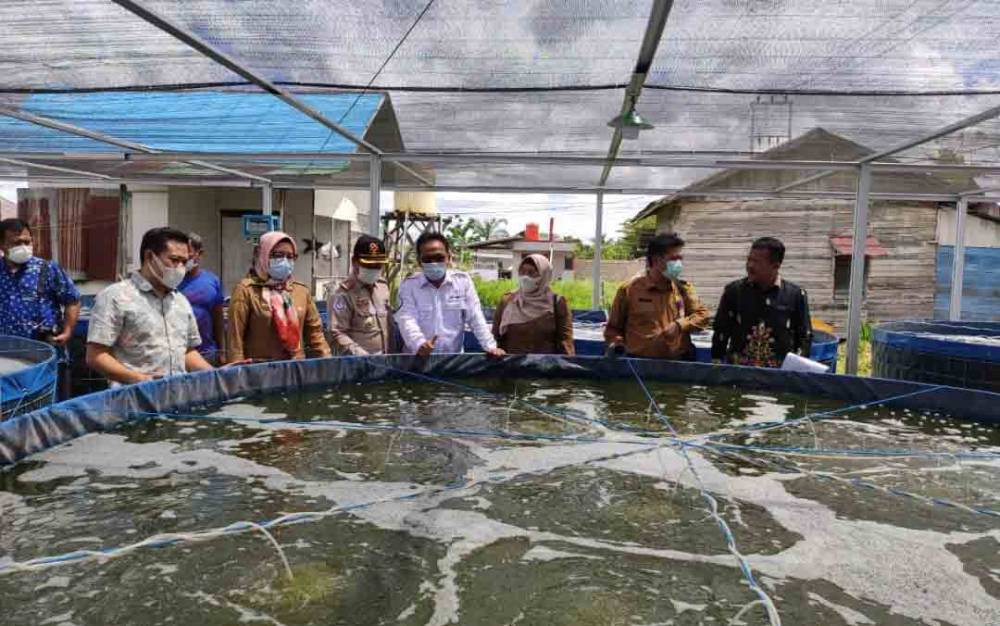 Sistem Budidaya Bioflok Dinilai Tingkatkan Produktivitas
