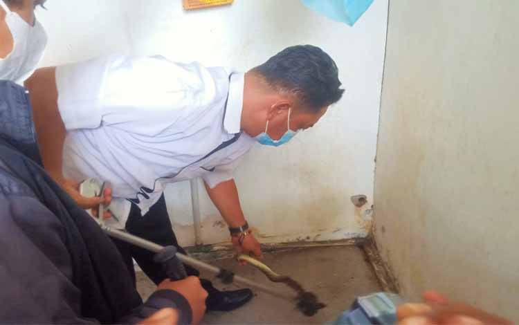 Ular Piton Masuk Rumah Warga Palangka Raya Berhasil Ditangkap