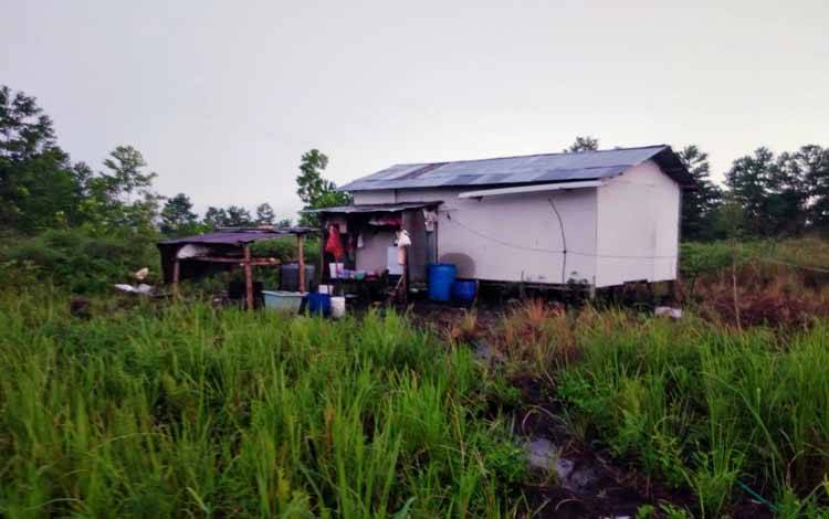 Beruang Muncul kembali di Lingkar Kota Sampit