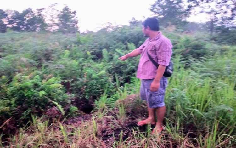 Beruang Mangsa Puluhan Bebek, Tapi Cuma Bagian Ini yang Dimakan
