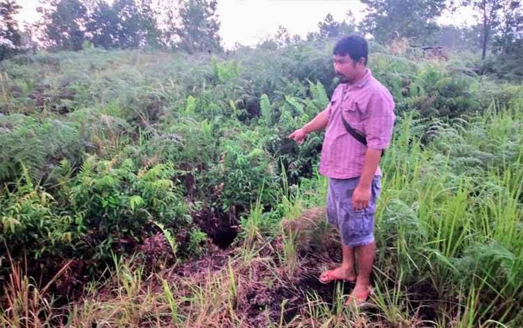 BKSDA akan Pasang Perangkap Beruang di Lingkar Kota Sampit