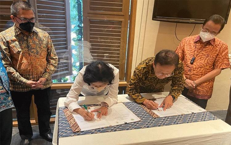 Rehabilitasi Mangrove, Bupati Pulang Pisau Lakukan Kerjasama dengan Yayasan Eden Nusantara Hijau
