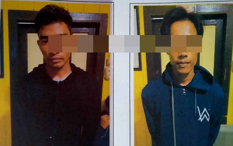 Digerebek Satpam saat Sedang Memanen Sawit
