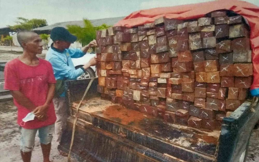 Ditangkap saat Mobil Pengangkut Kayu Ada Masalah
