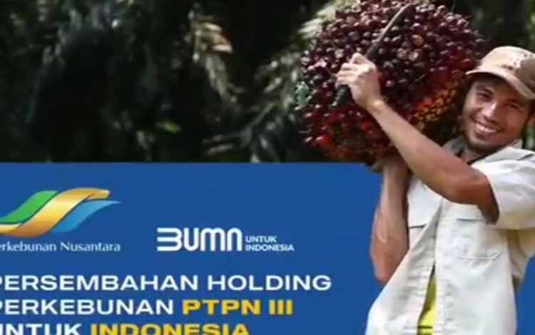 PTPN VIII Perkuat Eksistensi Kelapa Sawit Lewat Sertifikasi RSPO