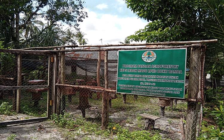 KUPS Lebah Madu Bukit Bamba Terkendala Pemasaran