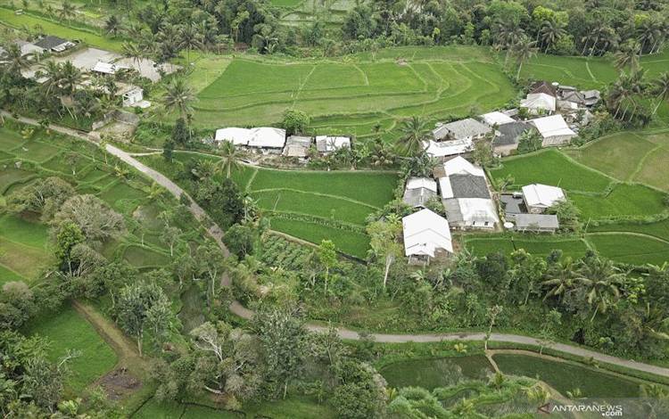 Foto udara suasana persawahan Desa Wisata Tetebatu di Kecamatan Sikur, Lombok Timur, NTB, Rabu (8/9/2021). Desa Tetebatu yang memilikj?keunggulan wisata alam air terjun, bumi perkemahan, wisata ramah lingkungan, budaya dan rute lintasan sepeda gunung tersebut terpilih menjadi nominasi mewakili Indonesia dalam ajang lomba Desa Wisata Terbaik (Best Tourism Village) yang diselenggarakan Organisasi Pariwisata Dunia Perserikatan Bangsa-Bangsa (UNWTO).ANTARA FOTO/Ahmad Subaidi/rwa. (ANTARA FOTO/AHMAD