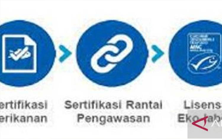 Kerja Kolektif Menuju Standar Keberlajutan Perikanan Lestari