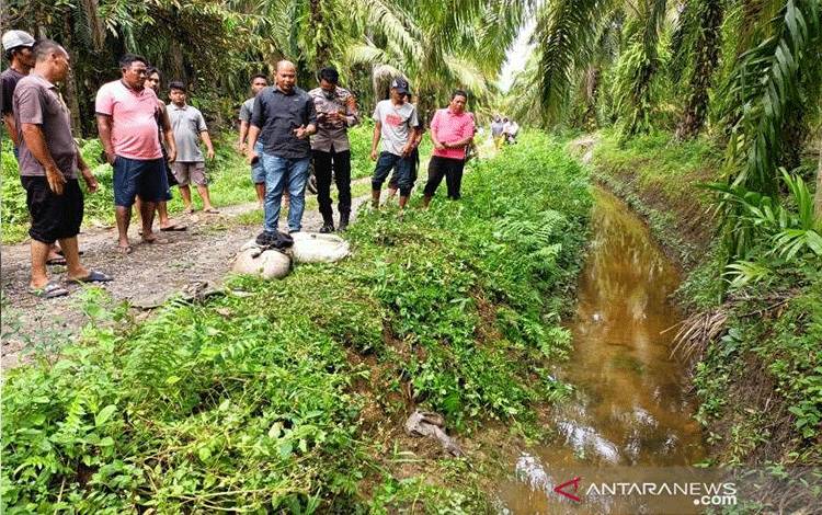 Seorang Perempuan Ditemukan Tewas di Kebun Sawit