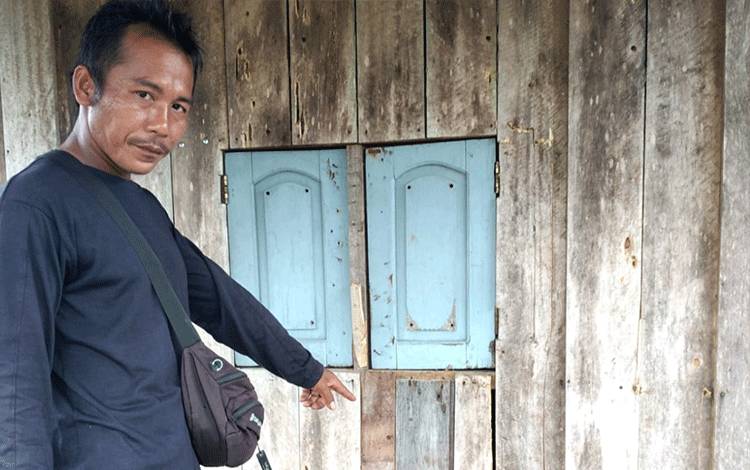 Beruang Jebol Pondok Warga di Lingkar Kota Sampit?