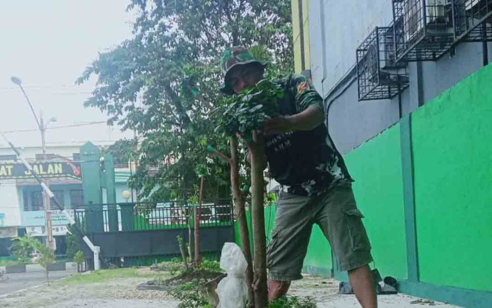 Kodim Palangka Raya Budidayakan Tanaman Beringin Dolar