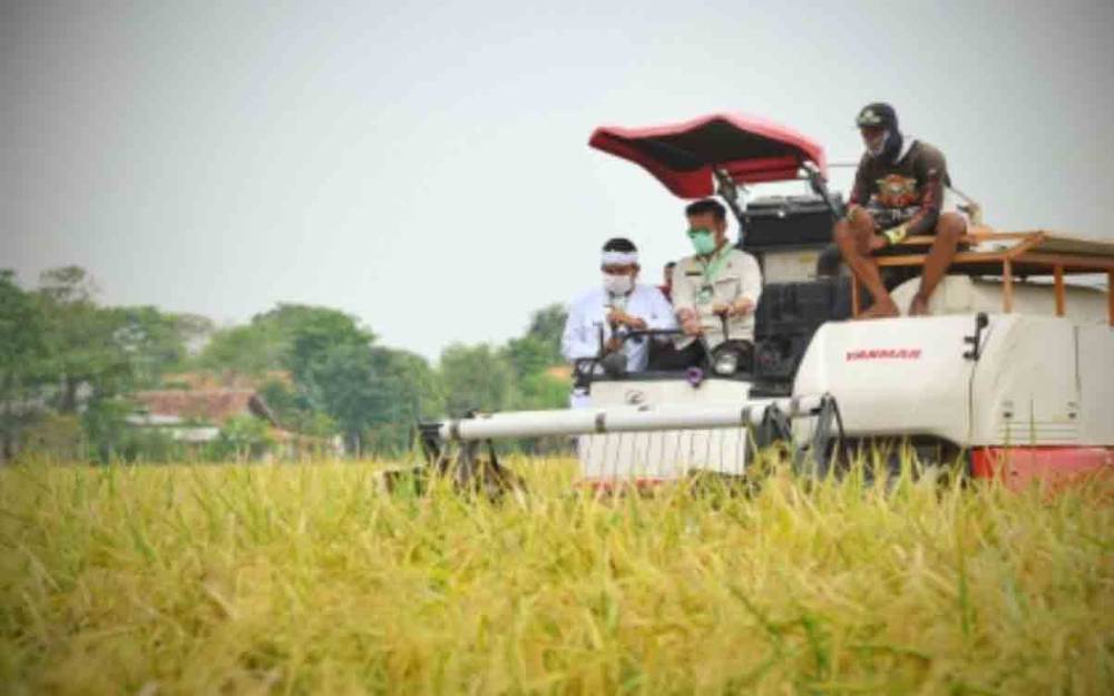 Program Food Estate juga Gunakan Lahan Petani