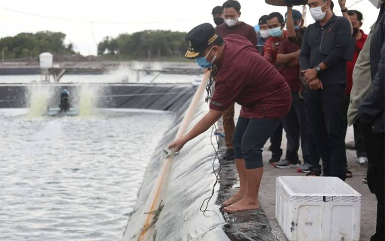 Gubernur Kalteng Berharap Pembangunan Shrimp Estate Didukung Pemerintah Pusat