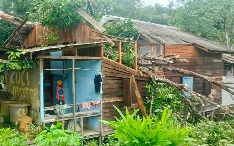 Pohon Tumbang Timpa Rumah Warga di Desa Bambulung
