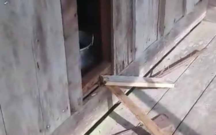 Beruang Kembali Jebol Pondok Warga di Lingkar Kota Sampit, Lalu Acak-Acak Isinya