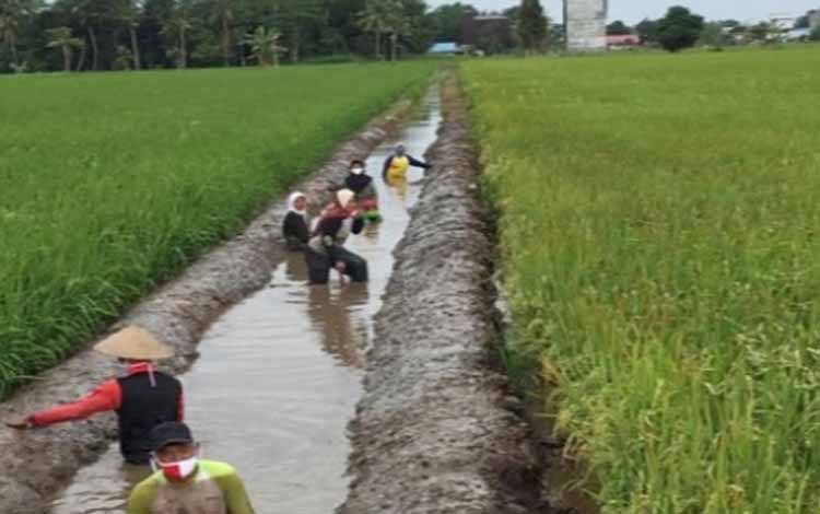 Ratusan Warga di Sanggang Belum Memiliki Sertifikat
