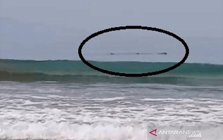 Sebelum Gempa di Banten Geger Lintang Dekati Bibir Pantai Citepus Sukabumi