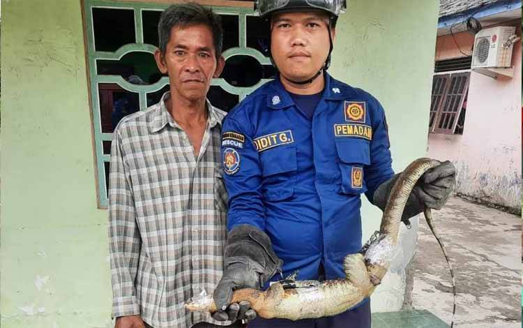 Asyik Santai, Tiba-Tiba Ada Biawak Masuk dari Belakang Rumah