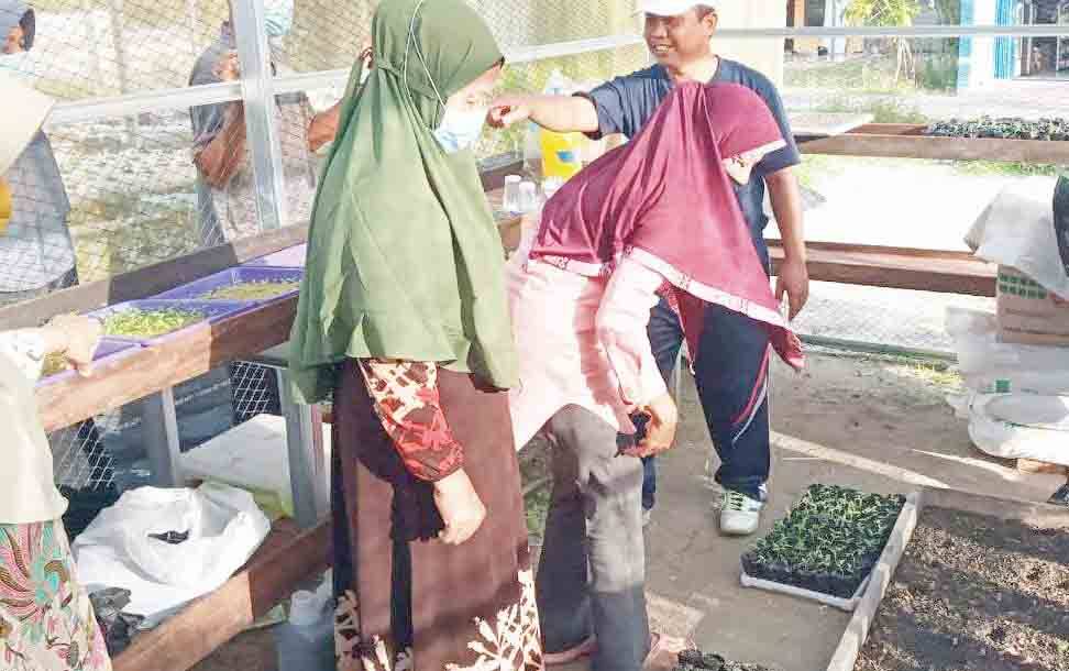 Sektor Pertanian Salah Satu yang Mampu Bertahan di Masa Pandemi