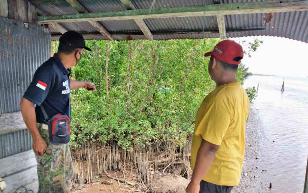 Warga menunjukkan lokasi keberadaan bangkai buaya di sekitar perairan Pulau Hanaut, yang kemudian hanyut lagi.?