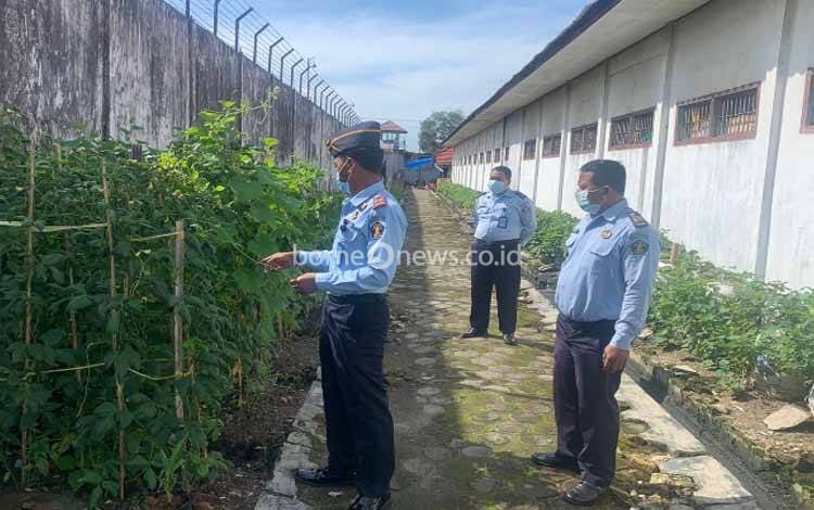 Warga Binaan Lapas Sampit Sulap Brandgang Jadi Areal Pertanian