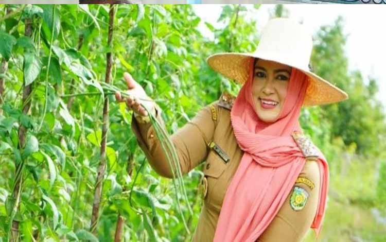 Pemko Palangka Raya Beri Perhatian Serius Bagi Petani