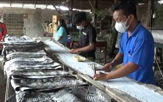 Produk Kulit Ular Asal Kobar Tembus Sampai Eropa