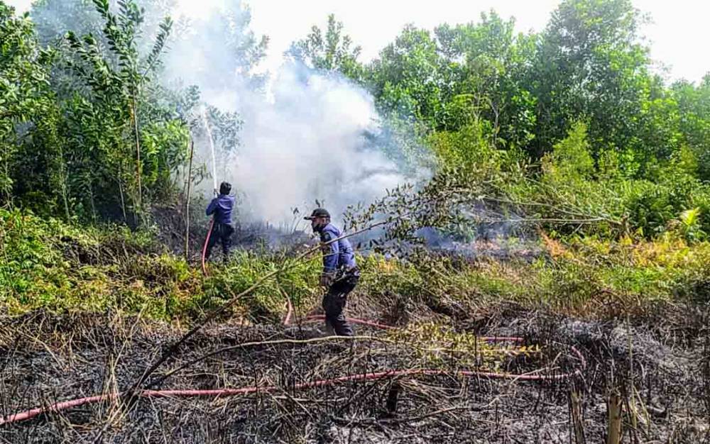 Sehari Ada 3 Kebakaran Lahan di Sampit