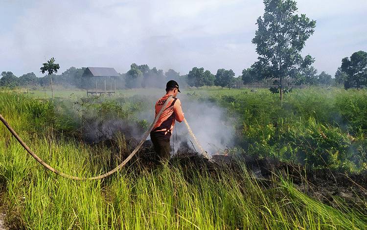 Pemkab Pulang Pisau Susun Dokumen Rencana Perlindungan dan Pengelolaan Ekosistem Gambut