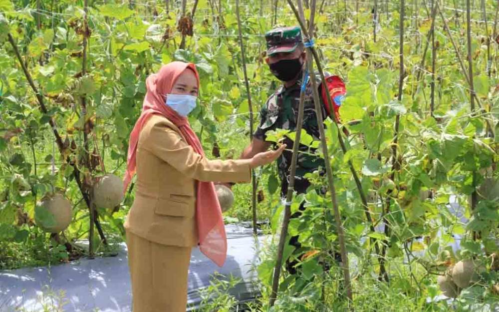 TNI Maksimalkan Peran Sebagai Motivator Bagi Kelompok Tani
