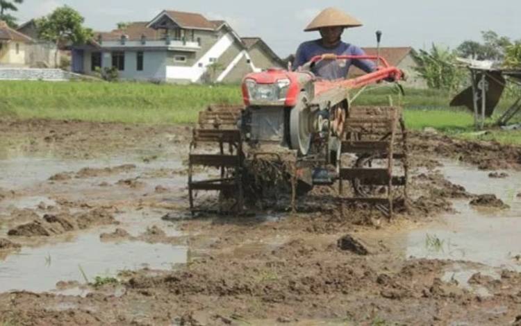 DPRD Usul agar Banjarmasin Perbanyak Aset Lahan Pertanian