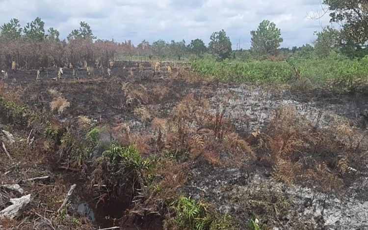 Kebakaran Lahan Mulai Mengancam Wilayah Kotim