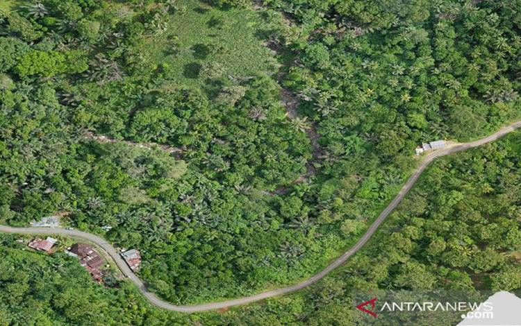 Pemerintah Target Bangun Pembangkit Bioenergi 600 Megawatt hingga 2030