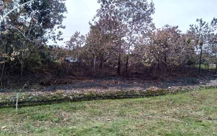 Cuaca Panas Beberapa Hari Terjadi di Kasongan