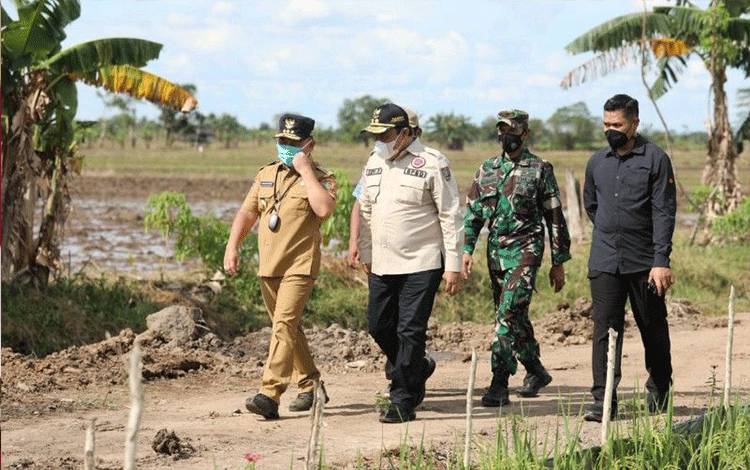 Gubernur Kalteng Gagas Penyediaan Benih Hibrida Dukung Food Estate