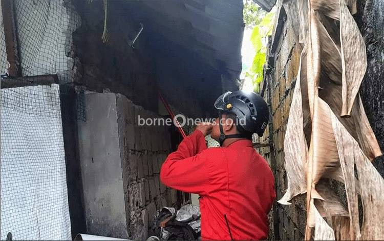 Ada Sesuatu Mencakar-cakar di Atas Plafon, Warga Sampit Minta Pertolongan Petugas