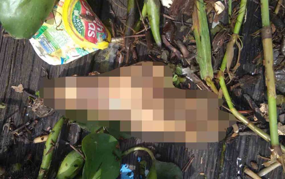 Geger!! Anak-anak di Bantaran Sungai Arut Dapat Potongan Diduga Telapak Tangan