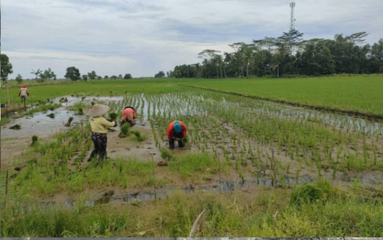 Pemkab Pulang Pisau Resmikan Jalan Jaksa Agung R Soeprapto