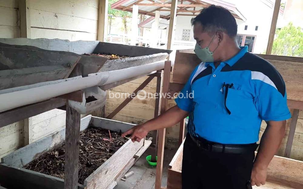 Ada Esktrakurikuler Budidaya Maggot di SMAN 1 Kurun