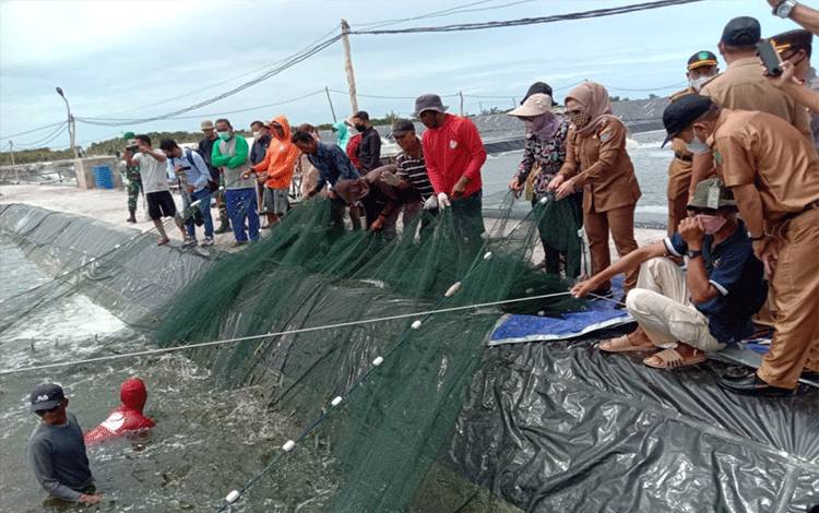 Wabup Seruyan Studi Banding ke Sukamara Belajar Pengembangan Tambak Udang Vaname