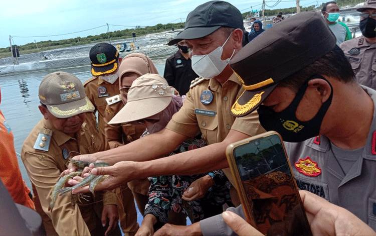 Pemkab Sukamara Siap Bekerjasama dengan Daerah Lain Kembangkan Udang Vaname
