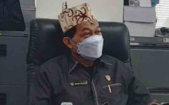 Legislator Ini Harap Ada Inovasi Daerah Kembangkan Energi Terbarukan
