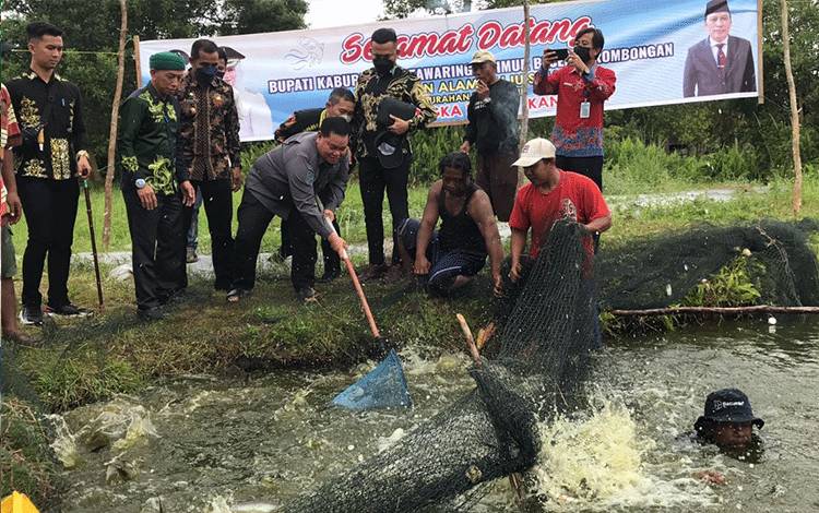 Bupati Kotim Apresiasi Pokdakan Alam Salju Sejahtera Panen Patin 10 Ton