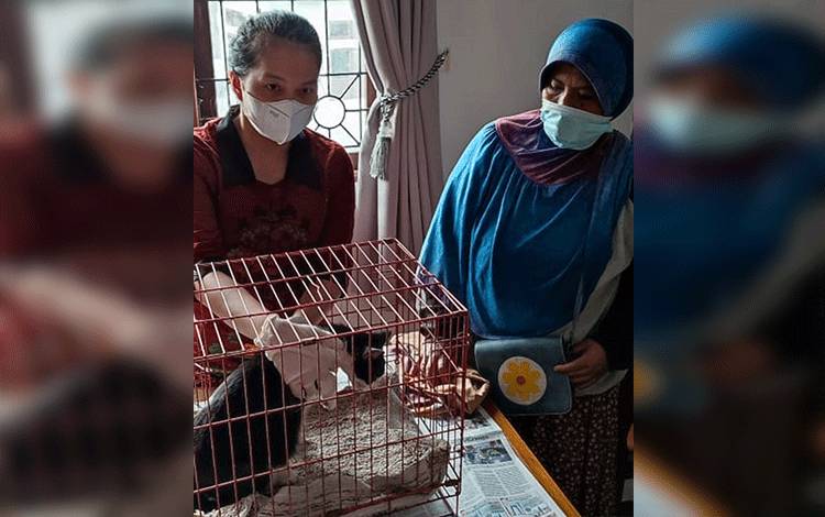 Klinik Hewan Milik Pemko Sudah Bisa Dimanfaatkan Masyarakat